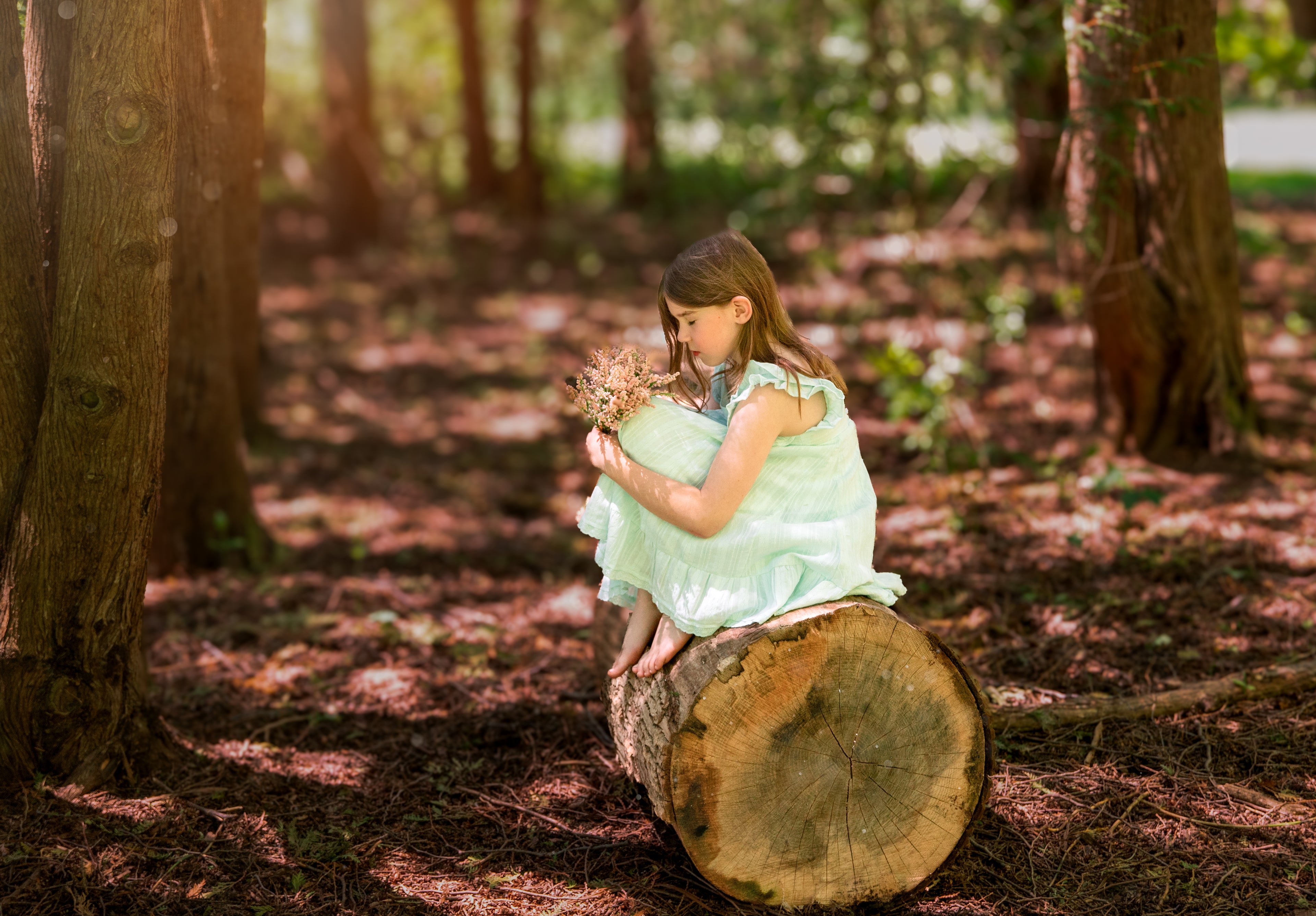Forest Fairy Sessions - Kids & Adults