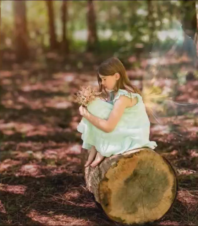 Forest Fairy Minis Booking