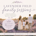 Lavender Field Mini Booking (COMING SOON)
